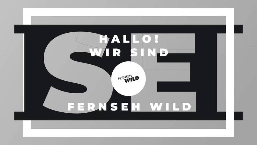 Video 1 Fernsehtechnik Wild Franz