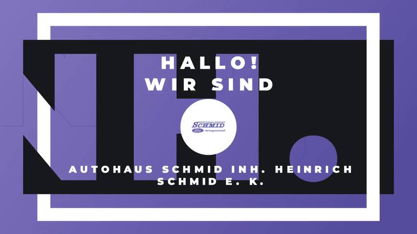 Video 1 Schmid Heinrich
