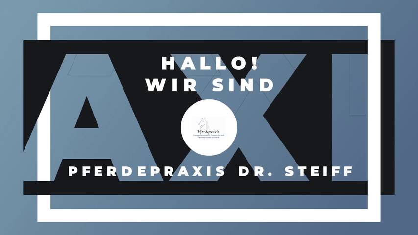 Video 1 Pferdepraxis Dr. Steiff
