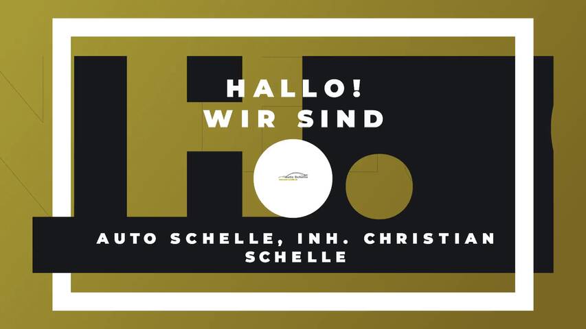 Video 1 Auto Schelle