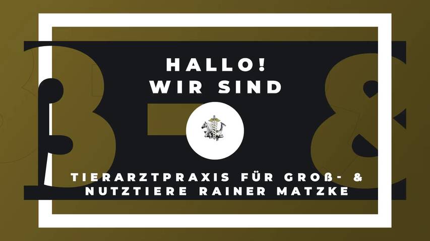 Video 1 Tierarztpraxis für Groß- & Nutztiere Rainer Matzke