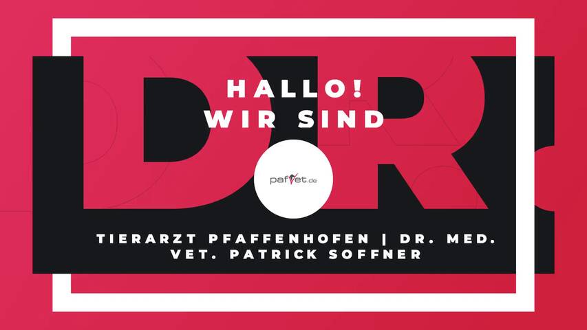 Video 1 Tierarzt Pfaffenhofen | Dr. med. vet. Patrick Soffner