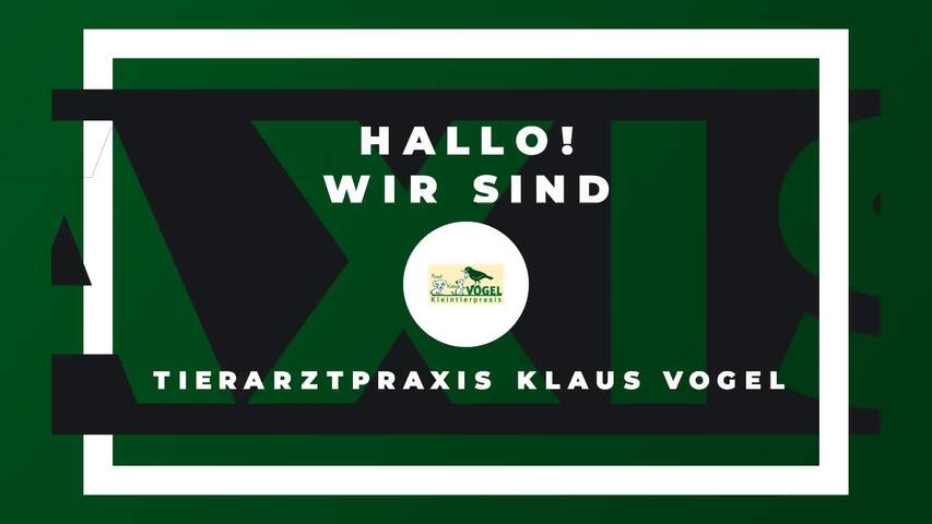 Video 1 Tierarztpraxis Vogel Klaus