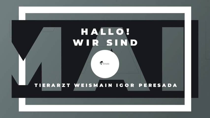 Video 1 Peresada Igor Tierarzt Altenkunstadt