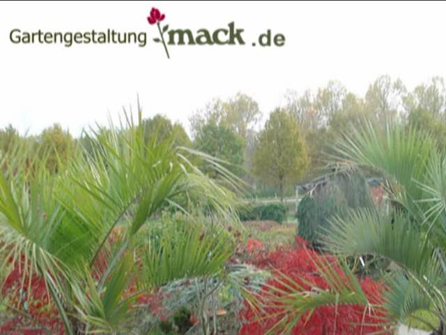 Video 1 Mack Garten- und Landschaftsbau